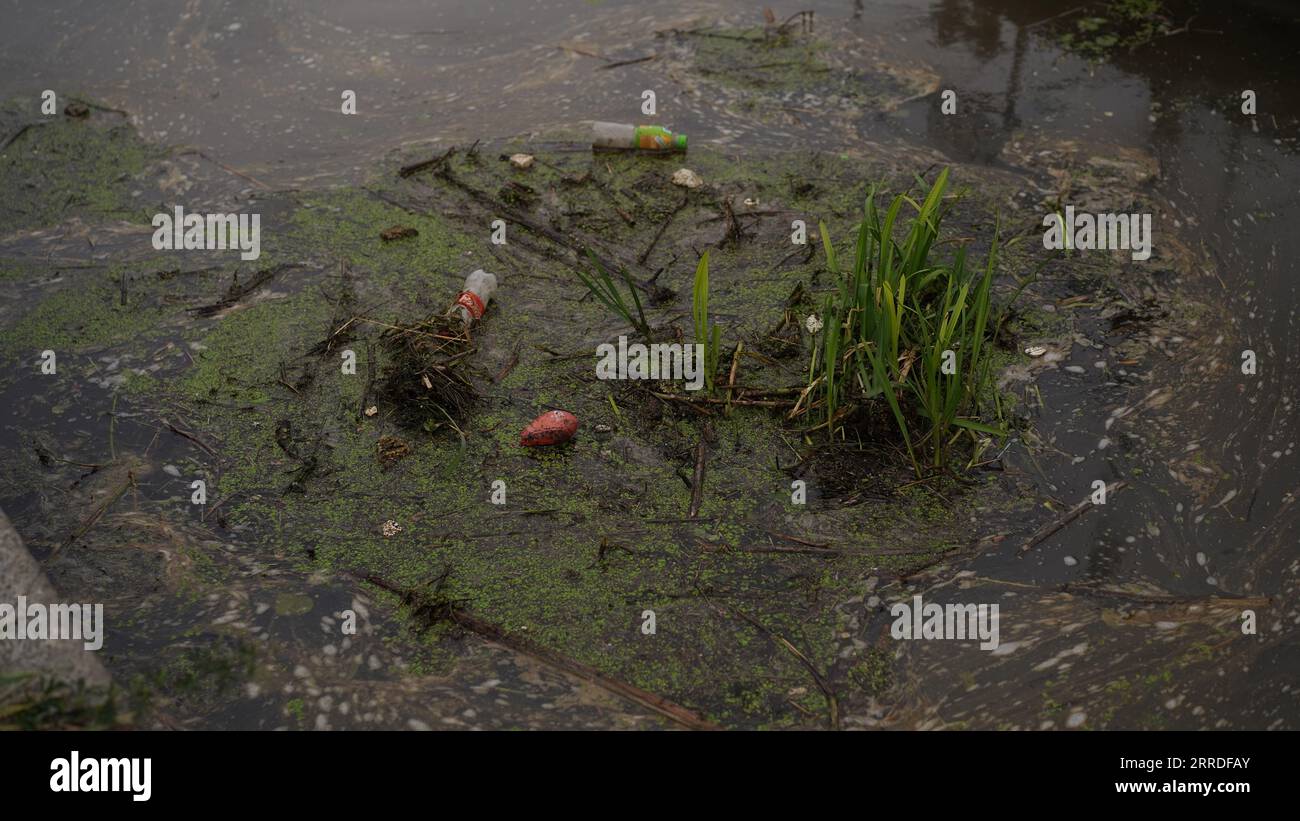 Dirty city river, reservoir, lake, plastic bottles in the water. The