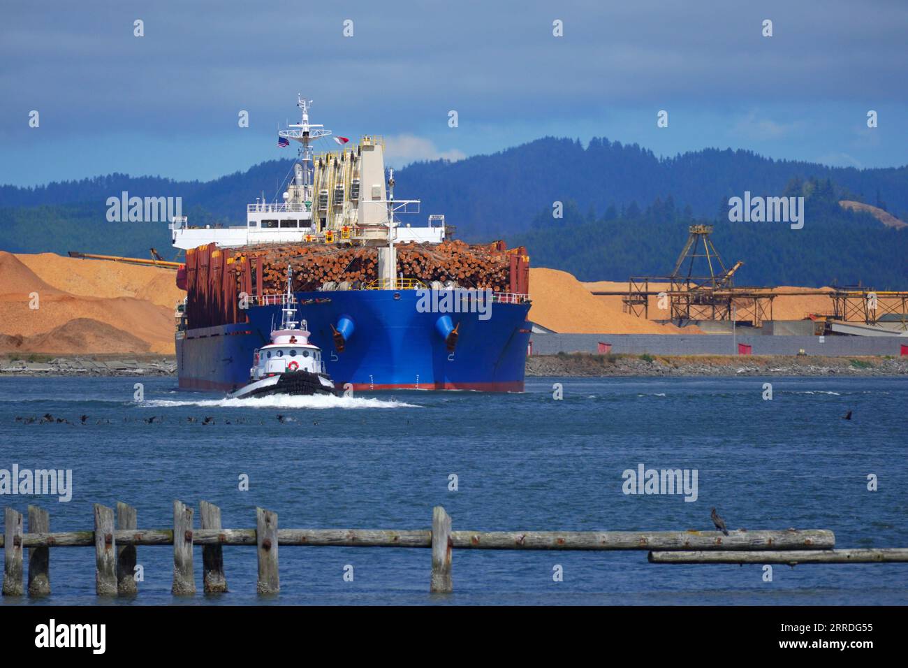 Tug boat leading a bulk carrier loaded with timber Stock Photo