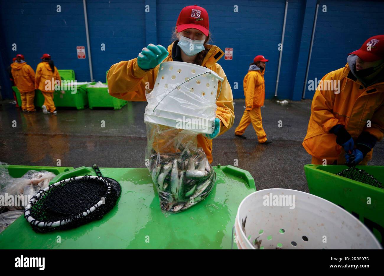 Fish tonnes hires stock photography and images Alamy