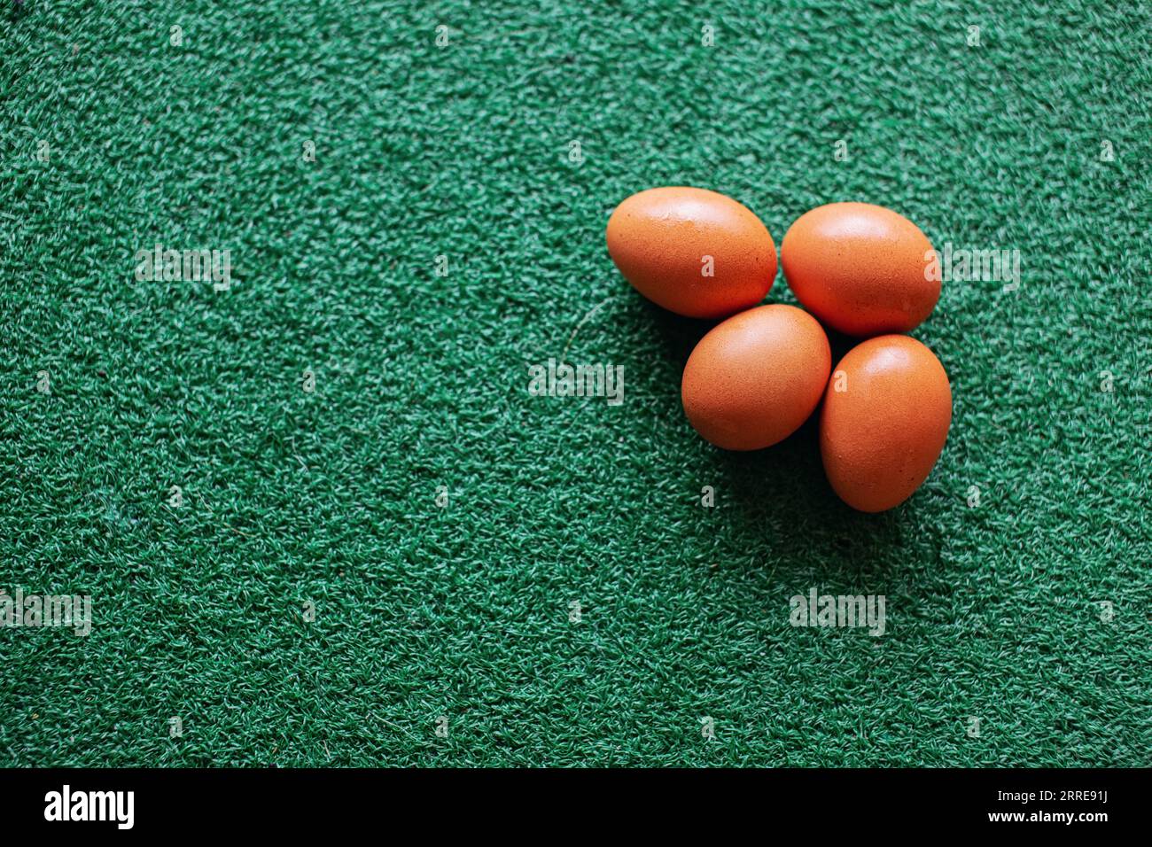 4 chicken eggs laid on the green grass Stock Photo