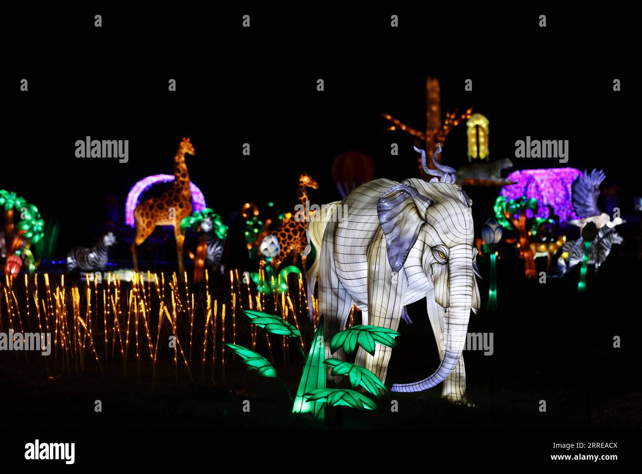 220214 -- PARIS, Feb. 14, 2022 -- Illuminated sculptures are on display during a light festival at Thoiry zoo near Paris, France, Feb. 13, 2022. The festival runs till March 6, 2022.  FRANCE-THOIRY ZOO-LIGHT FESTIVAL GaoxJing PUBLICATIONxNOTxINxCHN Stock Photo