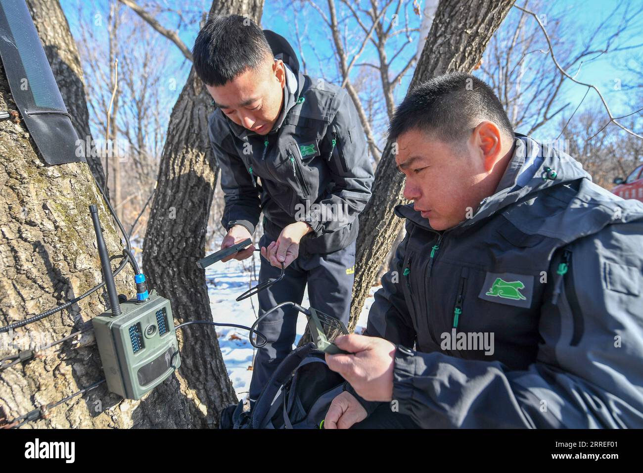 220225 -- CHANGCHUN, Feb. 25, 2022 -- Park rangers adjust a monitor ...