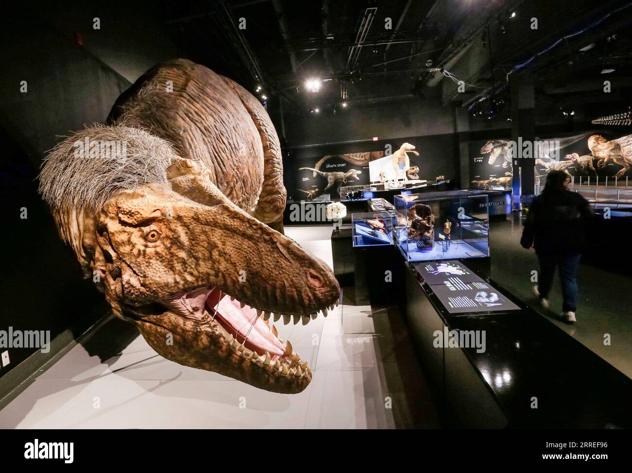 220225 VANCOUVER, Feb. 25, 2022 A Lifesized model of a