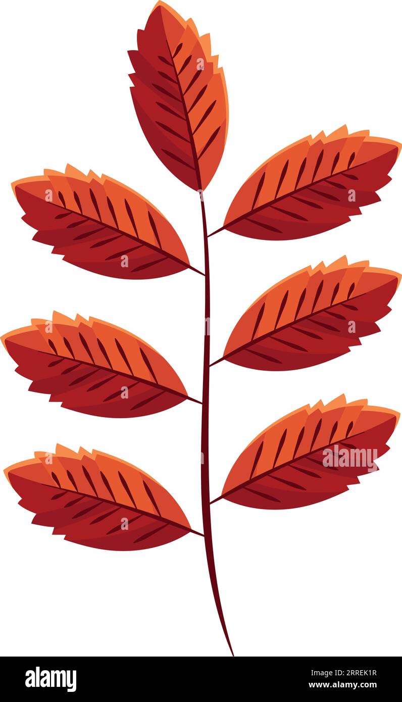 autumn leaves branch icon Stock Vector Image & Art - Alamy