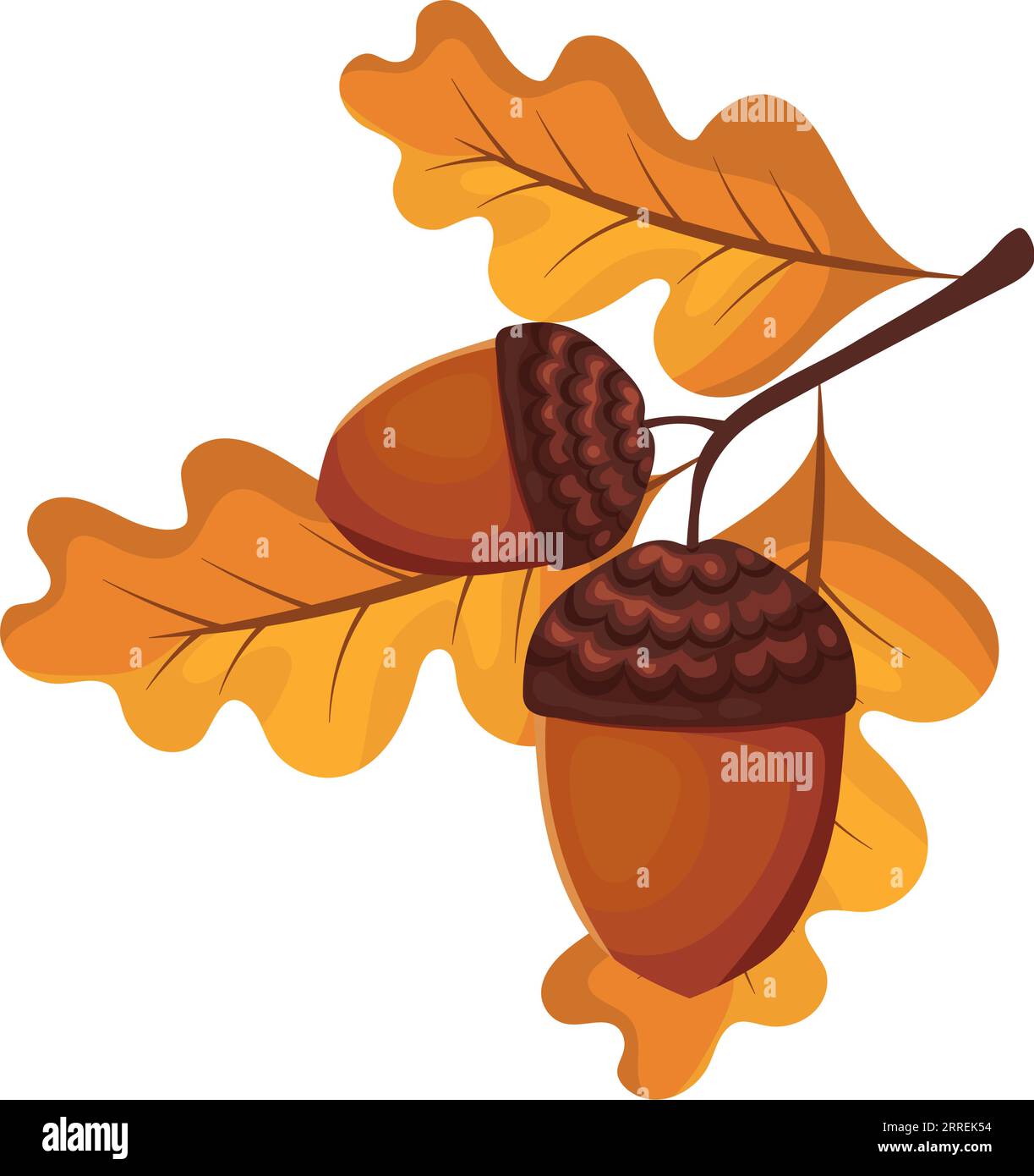 acorn tree leaf icon Stock Vector Image & Art - Alamy