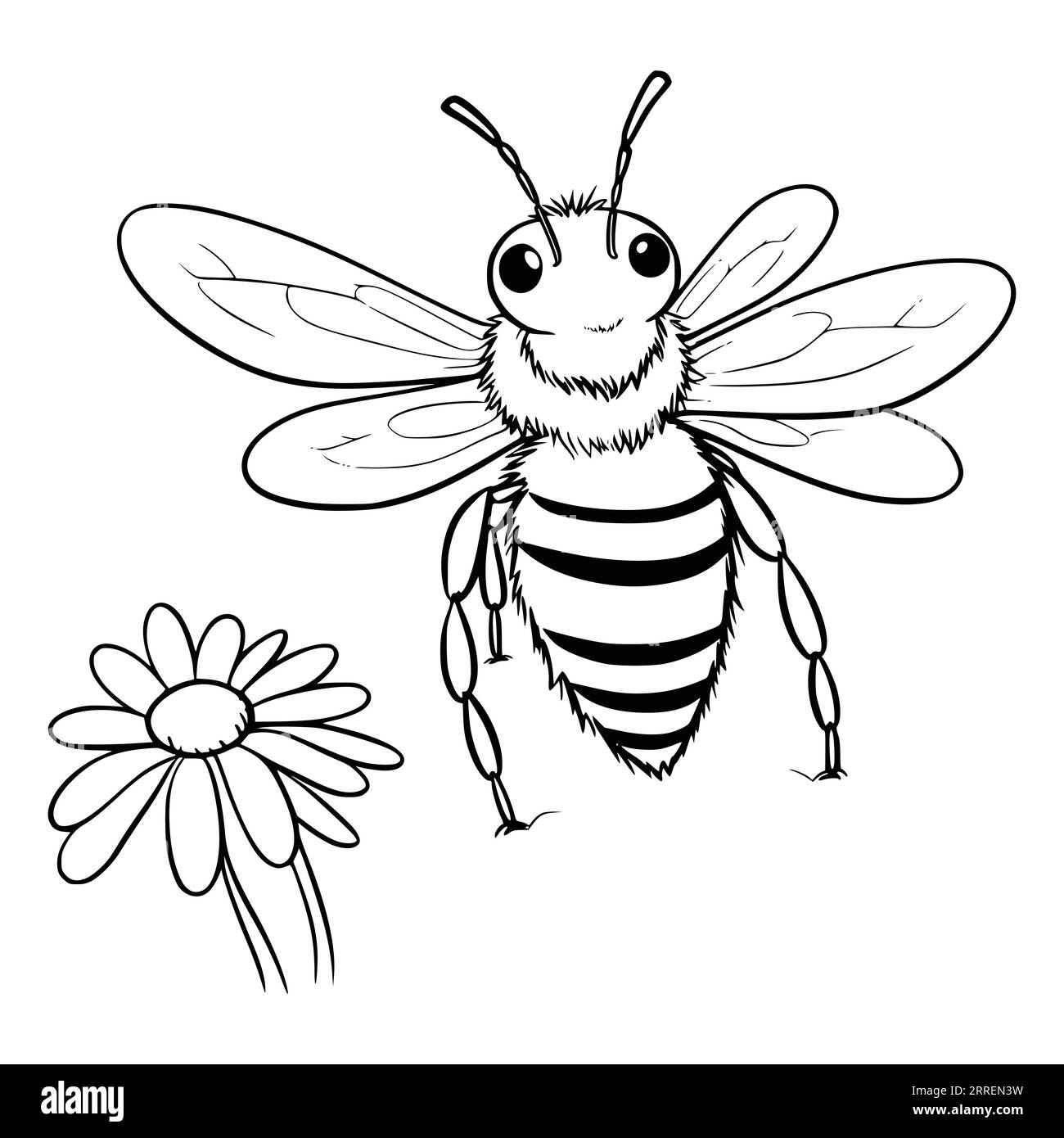 Bee Coloring Pages Drawing For Kids Stock Vector
