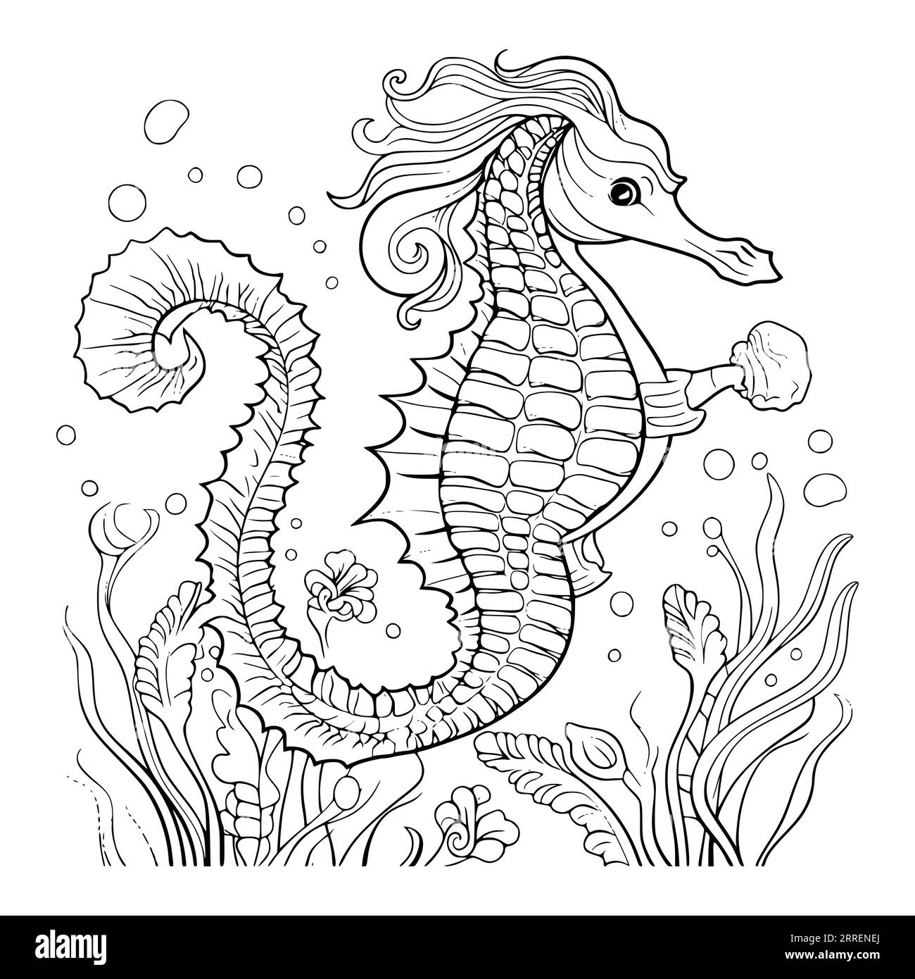 Beautiful Seahorse Coloring Page For Kids Stock Vector