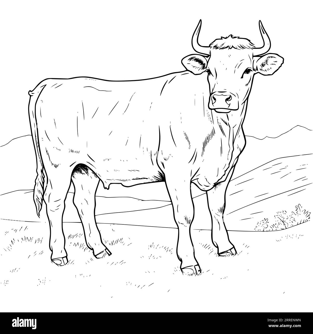 Cattle coloring pages for kids Stock Vector