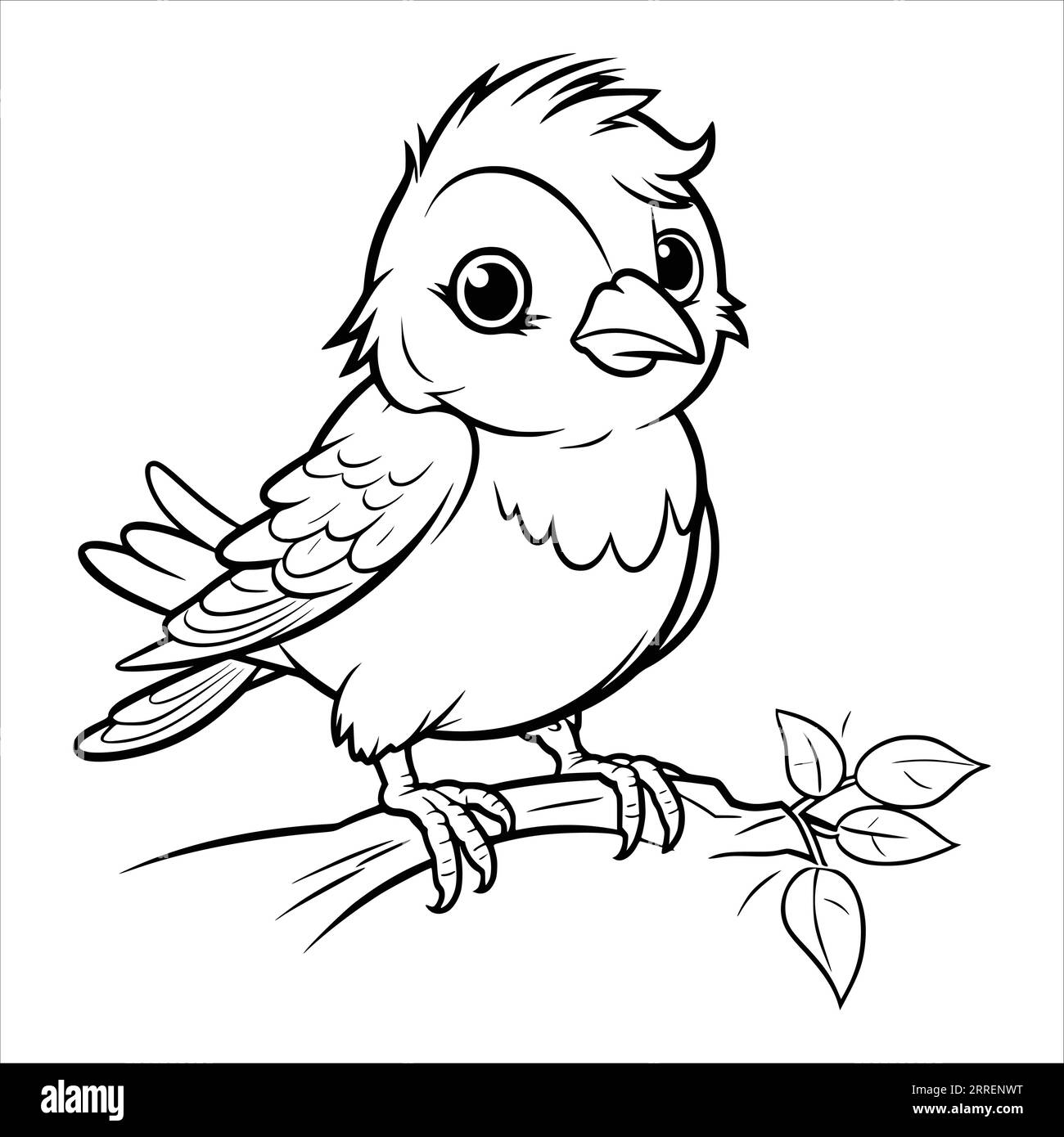 Bear coloring pages for preschoolers hi-res stock photography and