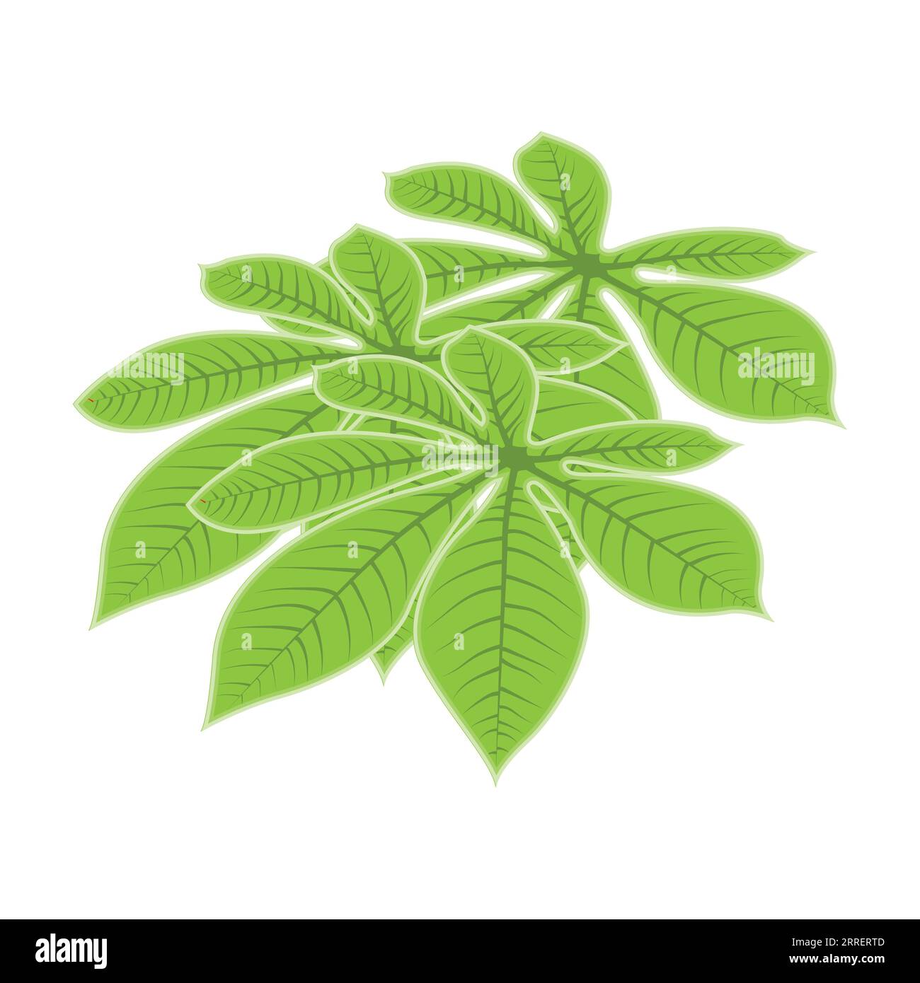 Leaf Logo Green Plant Design Leaves Of Trees Product Brand Template Illustration Stock Vector