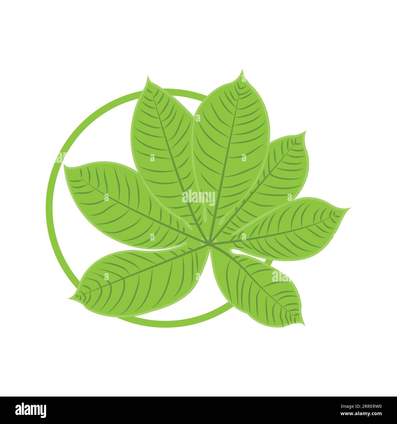 Leaf Logo Green Plant Design Leaves Of Trees Product Brand Template Illustration Stock Vector