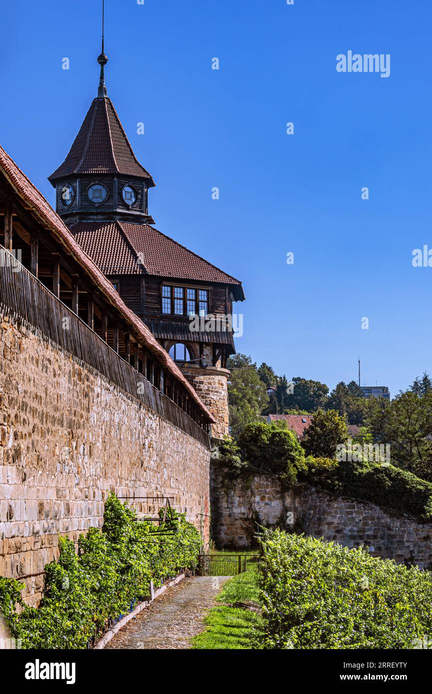 stellenanzeigen esslingen