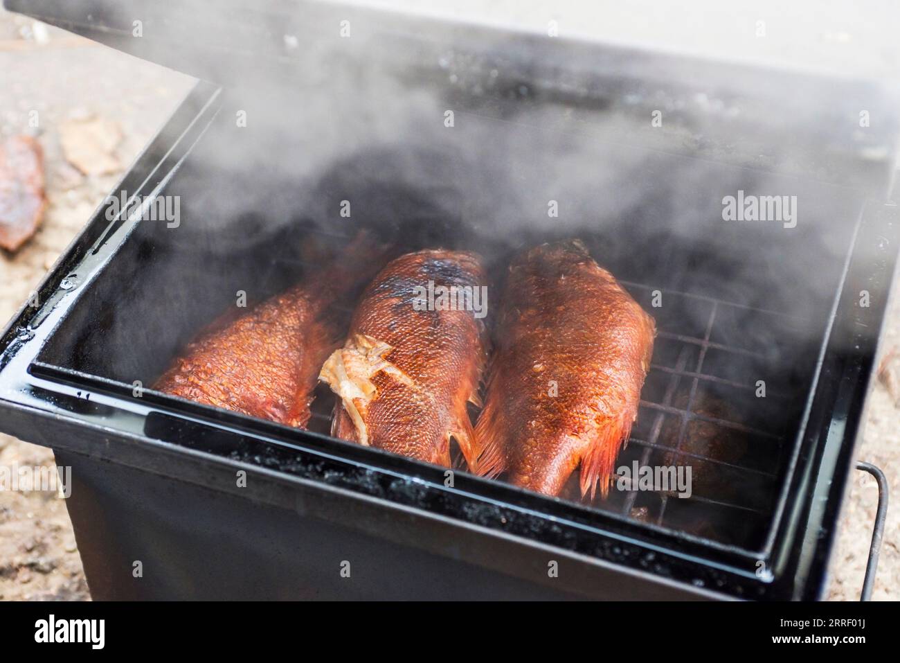 Smoked fish in smokehouse box Stock Photo Alamy