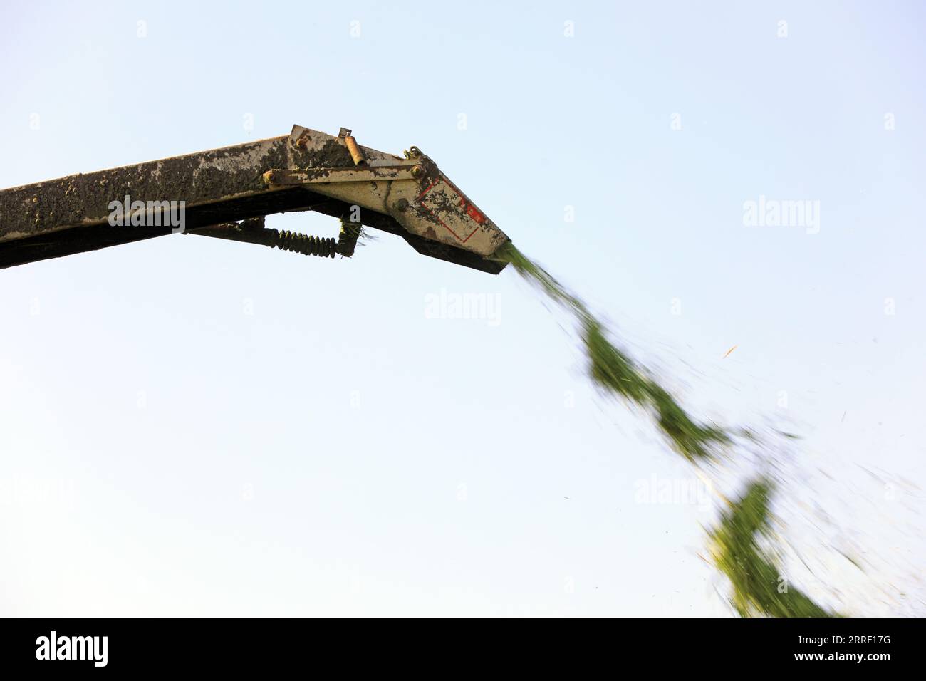 The harvester smashes the grass and sprays it out Stock Photo