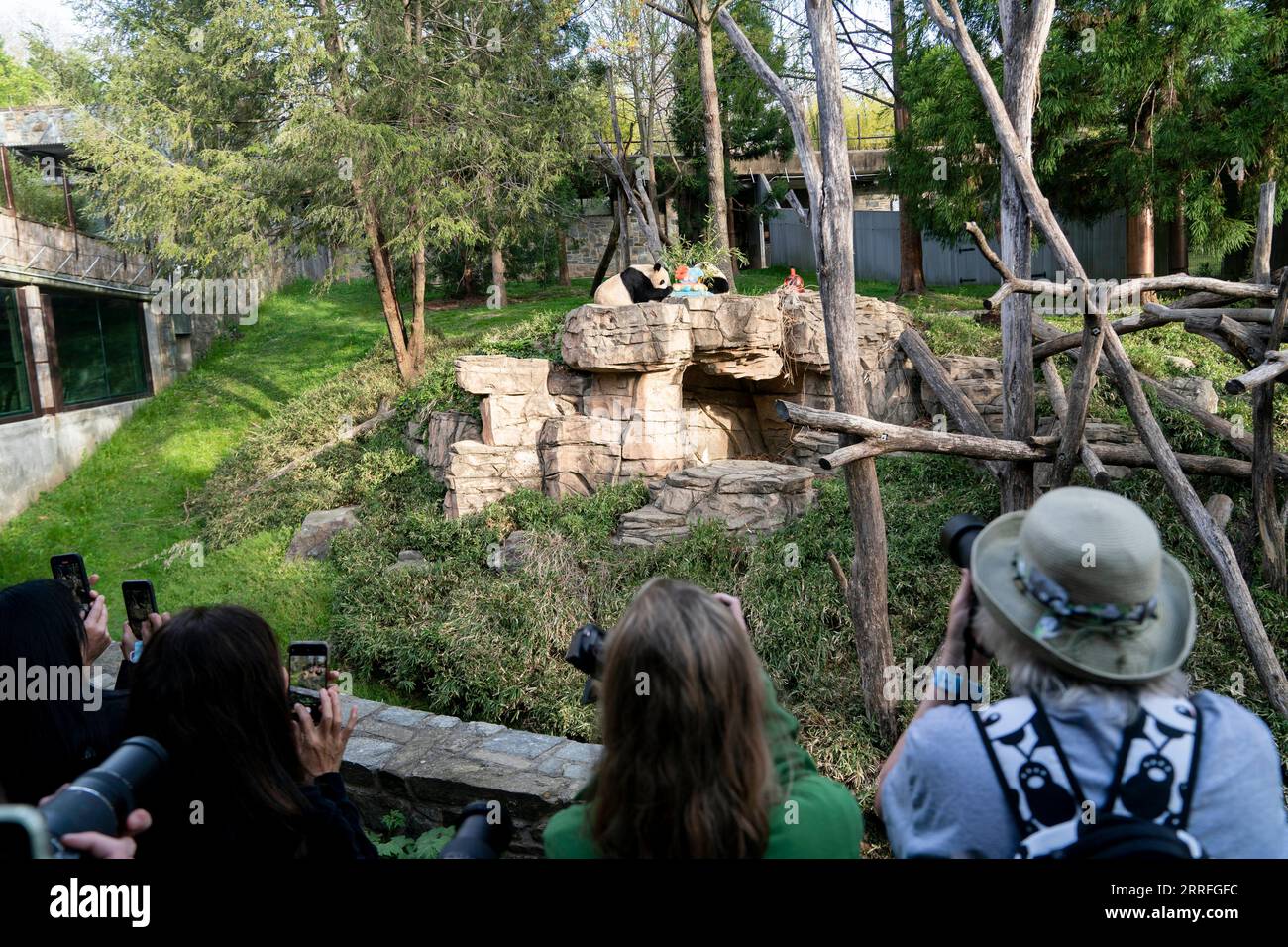 220417 -- WASHINGTON, D.C., April 17, 2022 -- Tourists take photos of giant panda cub Xiao Qi Ji and its mother Mei Xiang at Smithsonian s National Zoo in Washington, D.C., the United States, on April 16, 2022. Various events were held to mark the 50th anniversary of the giant panda program of the Smithsonian s National Zoo and Conservation Biology Institute on Saturday. In 1972, then-Chinese Premier Zhou Enlai gifted two giant pandas to the United States as a gesture of goodwill following then-U.S. President Richard Nixon s groundbreaking visit. Then-Zoo Director Theodore Reed personally esco Stock Photo