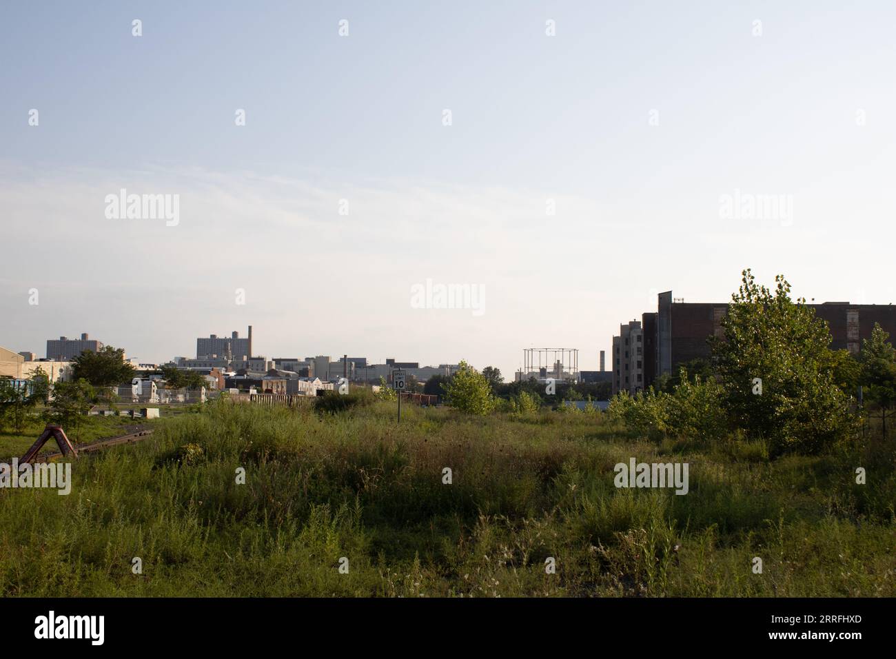 A view of a lush grassy field with a modern city skyline in the ...