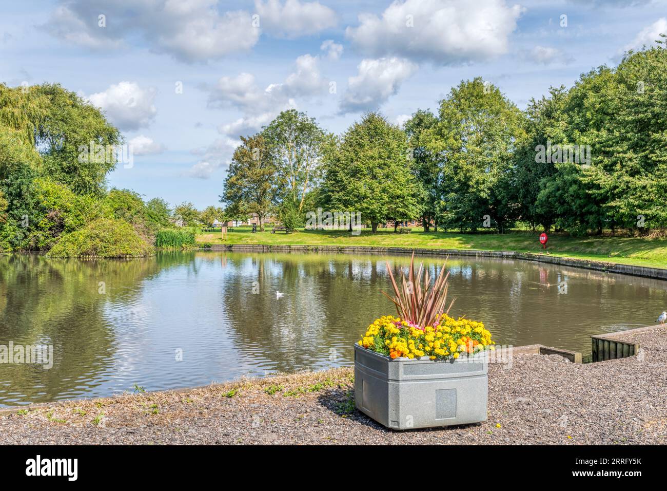 South Wootton duck pond, West Norfolk Stock Photo Alamy