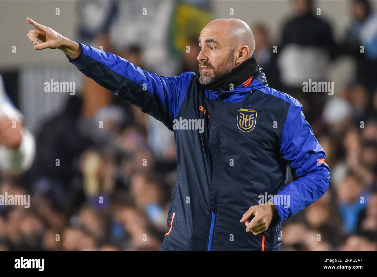 Buenos Aires, Argentina. 07th Sep, 2023. Felix Sanchez Bas soccer manager of Ecuador national team during the FIFA 2024 World Cup qualifying round match between Argentina and Ecuador played at Monumental Stadium on September 7 in Buenos Aires. (Photo by Santiago Joel Abdala/PRESSINPHOTO) Credit: PRESSINPHOTO SPORTS AGENCY/Alamy Live News Stock Photo