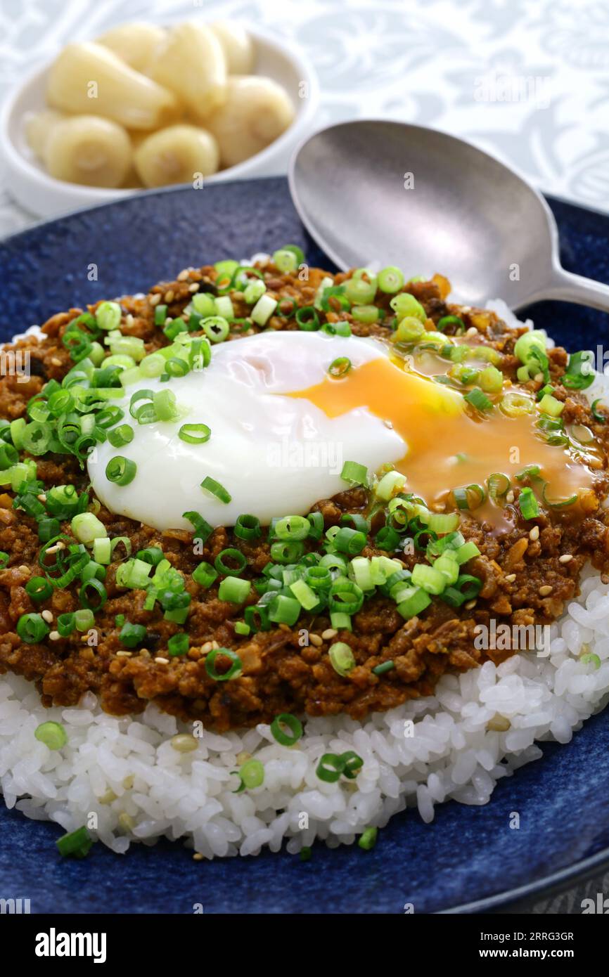 Japanese keema curry over rice Stock Photo
