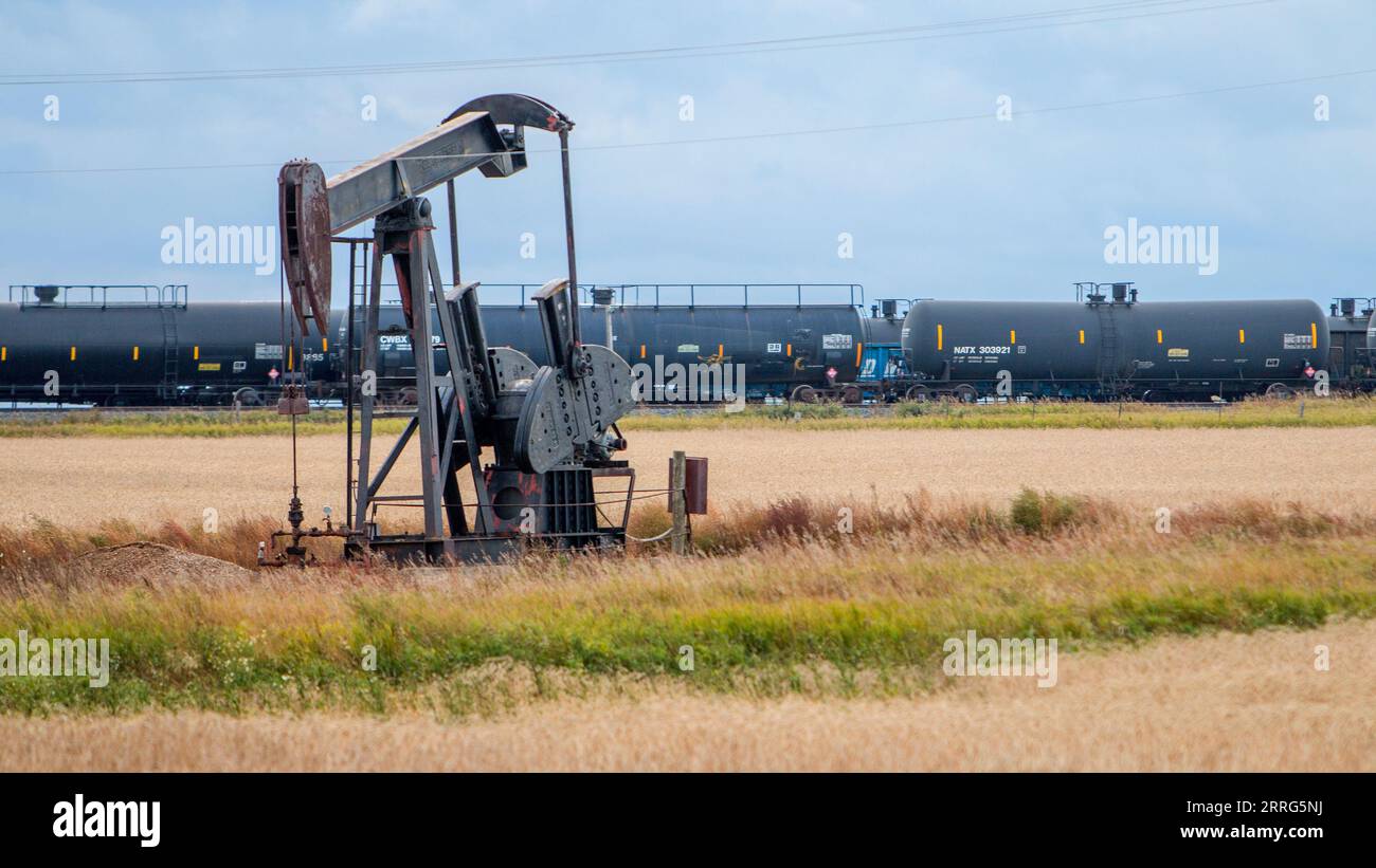 A pump jack pumps oil from a shale oil well outside Williston, a
