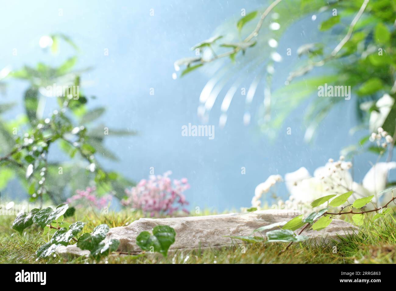 Natural background of flowers, stones and water to display products Stock Photo