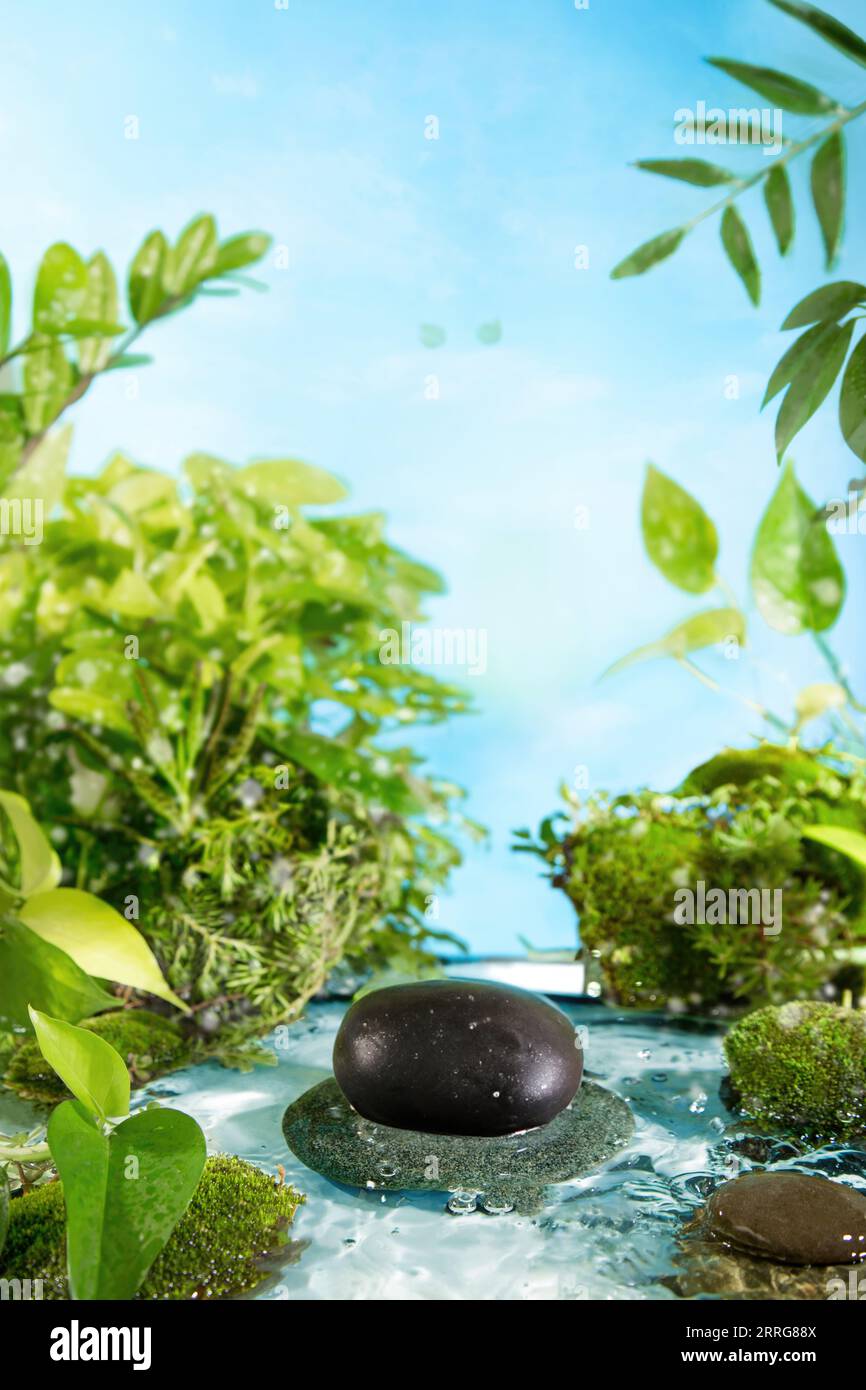 Natural background of flowers, stones and water to display products Stock Photo