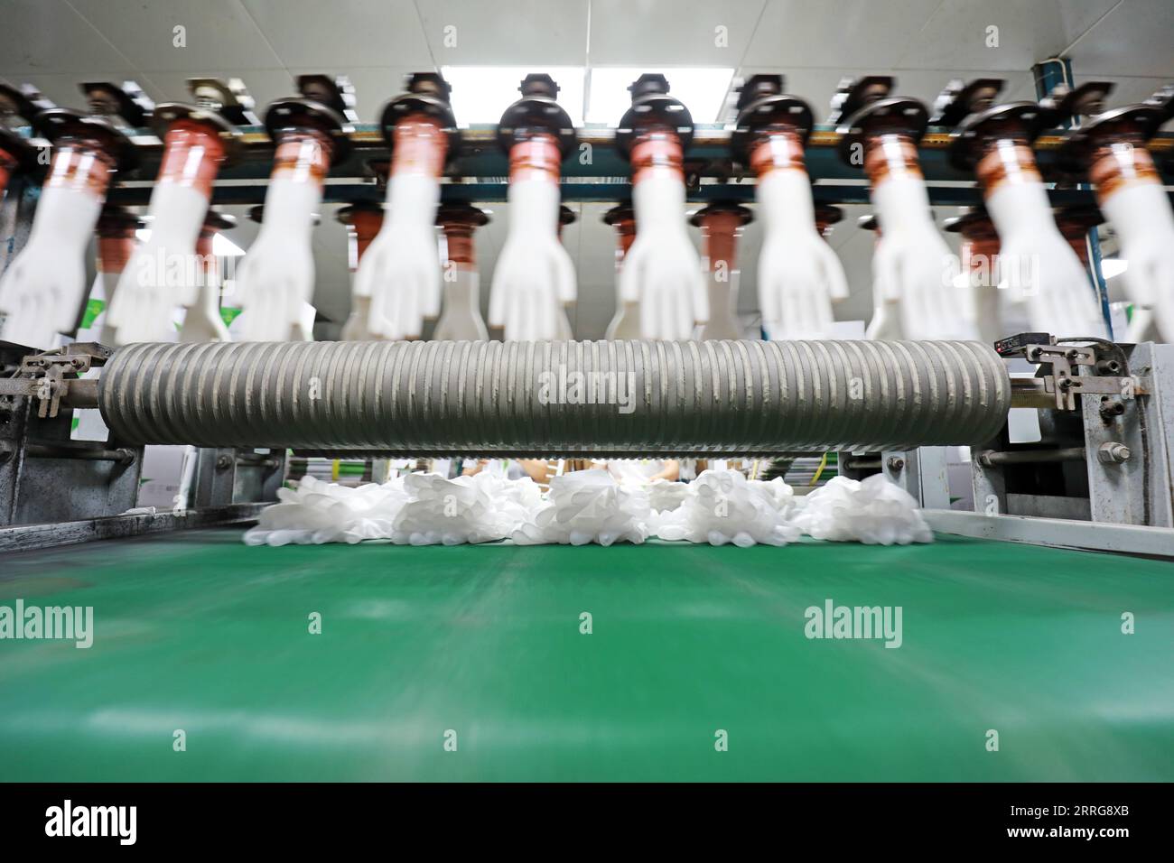 PVC medical gloves production line in the factory Stock Photo Alamy