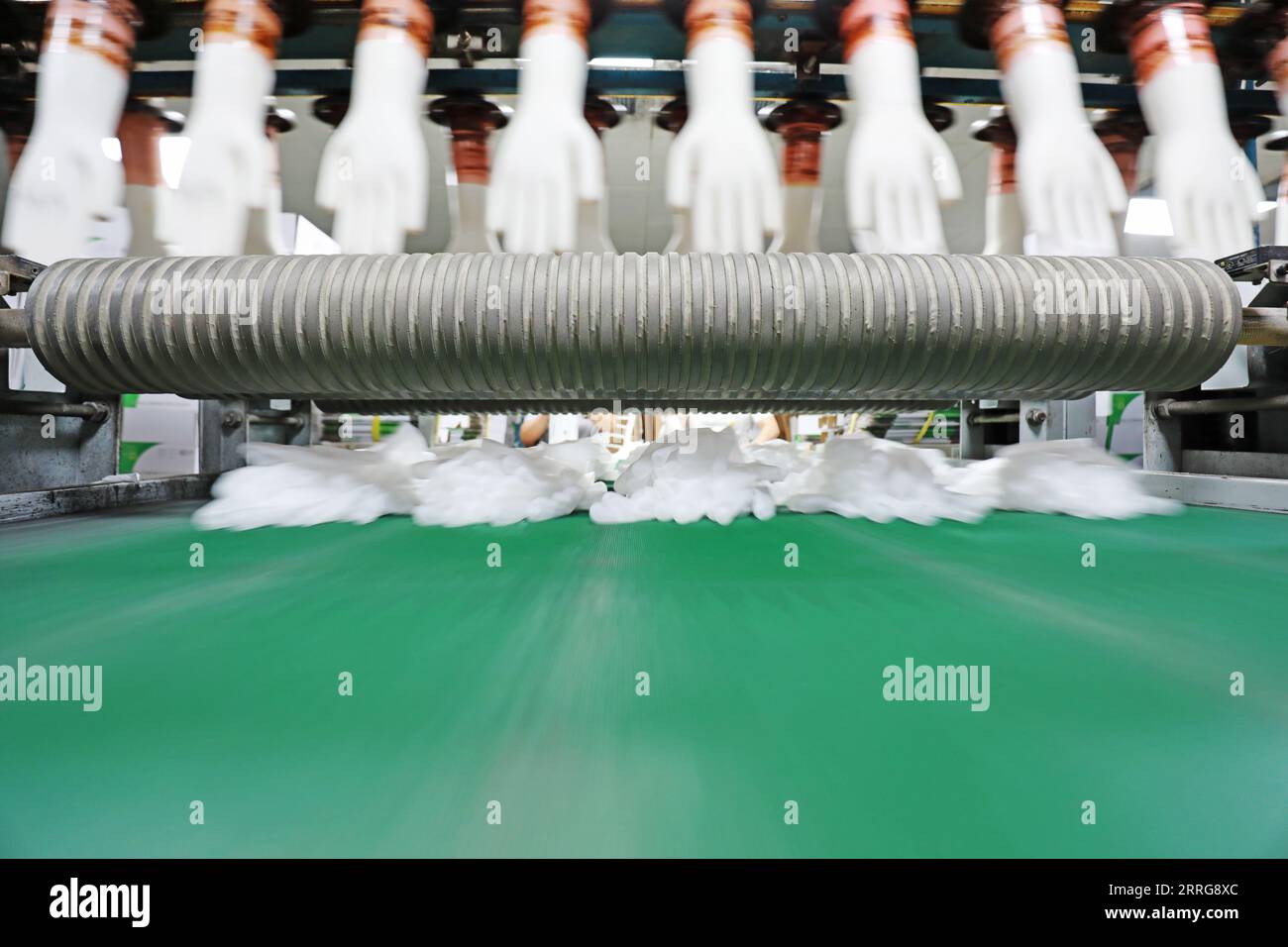 PVC medical gloves production line in the factory Stock Photo Alamy