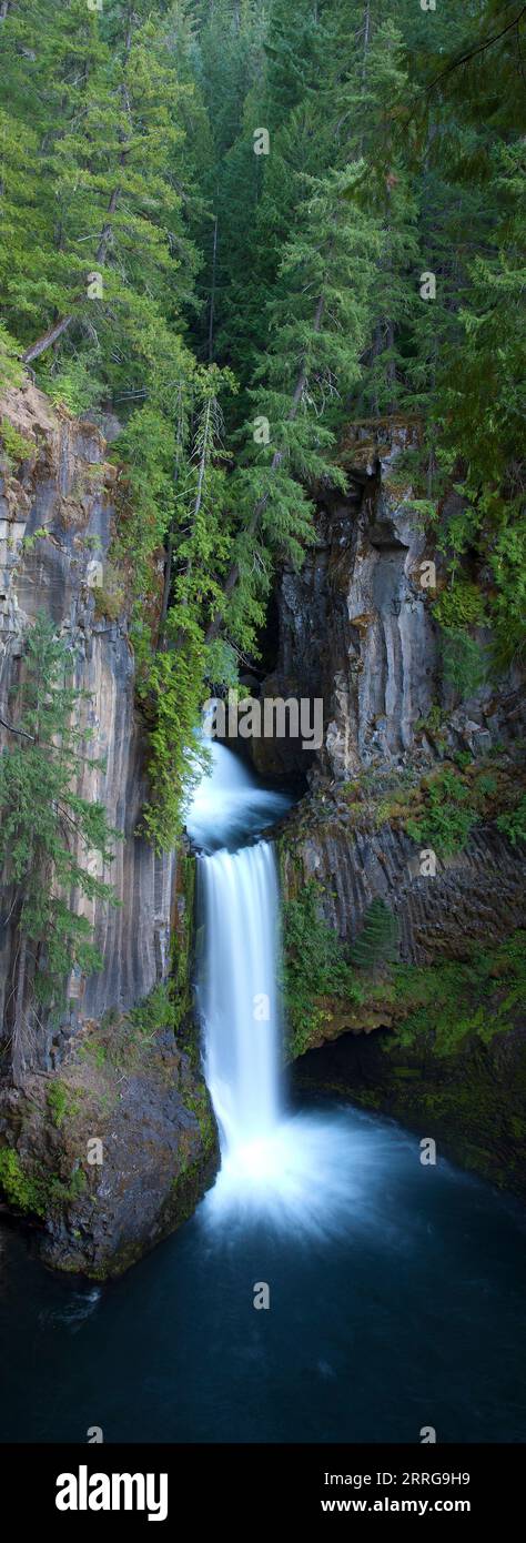 Toketee Falls located along the North Umpqua River in Central Oregon, USA. Stock Photo