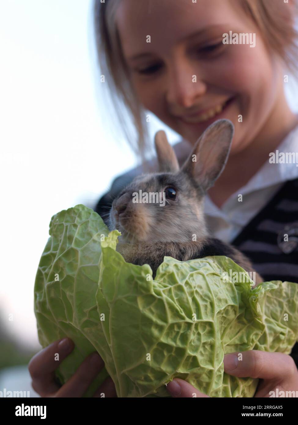 Tween girl holds babby bunny in cabbage leaf Stock Photo - Alamy