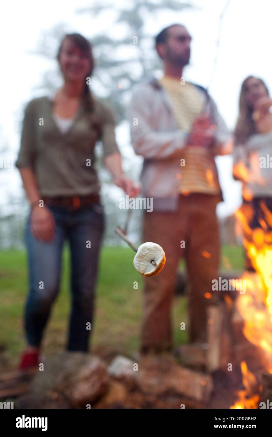 Group of twenty-somethings roasting marshmallows and campfire Stock Photo