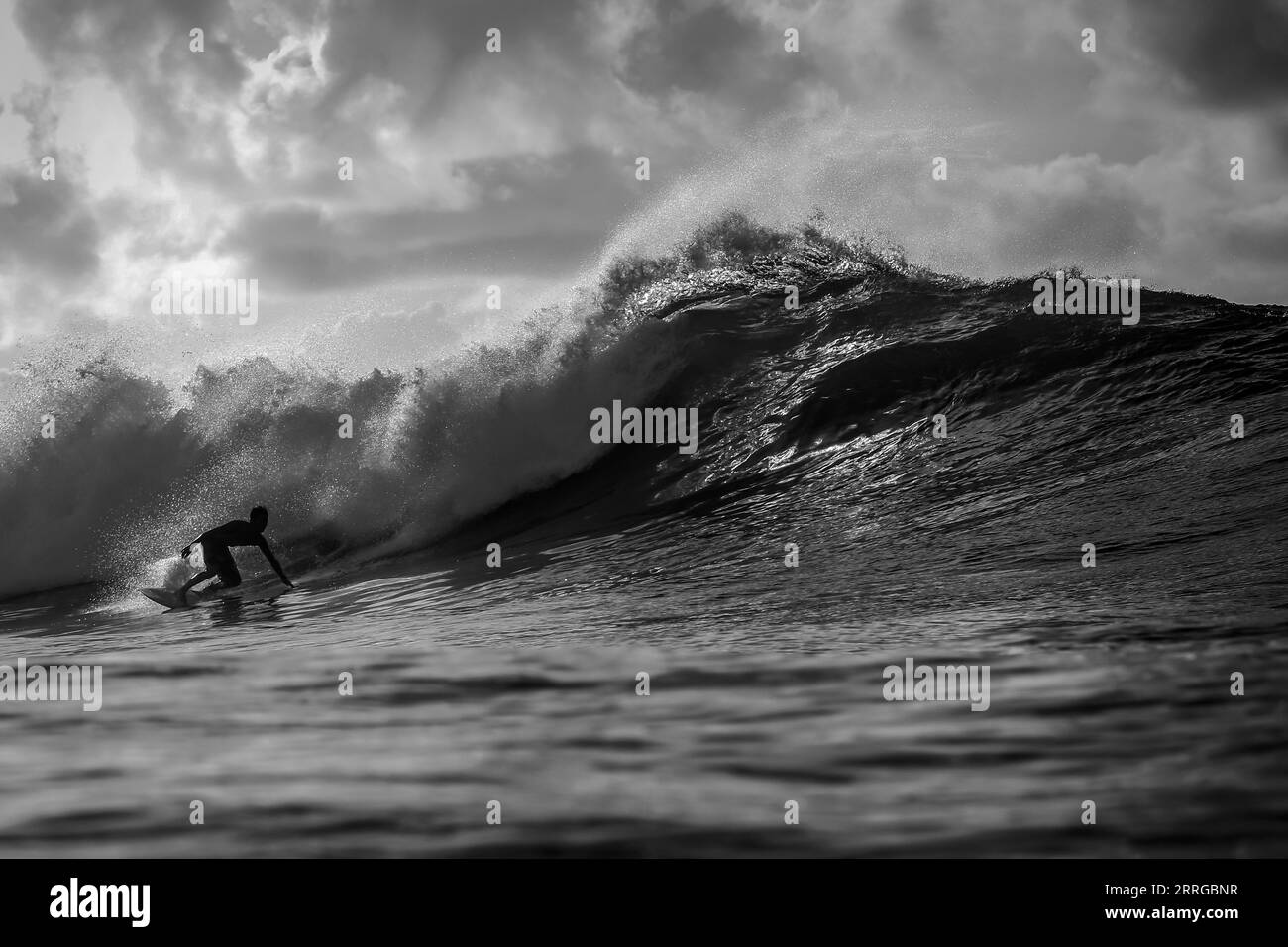 Black man surfing wave Black and White Stock Photos & Images - Alamy