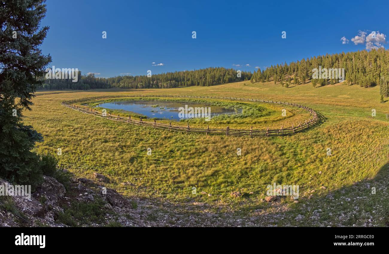Crane Lake in Kaibab National Forest AZ Stock Photo Alamy