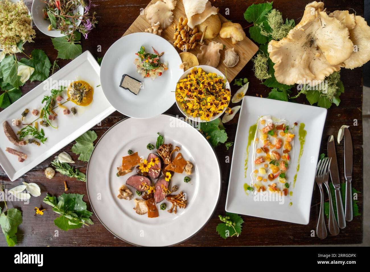 Overhead view of foraged ingredients and a plated dish on table Stock Photo