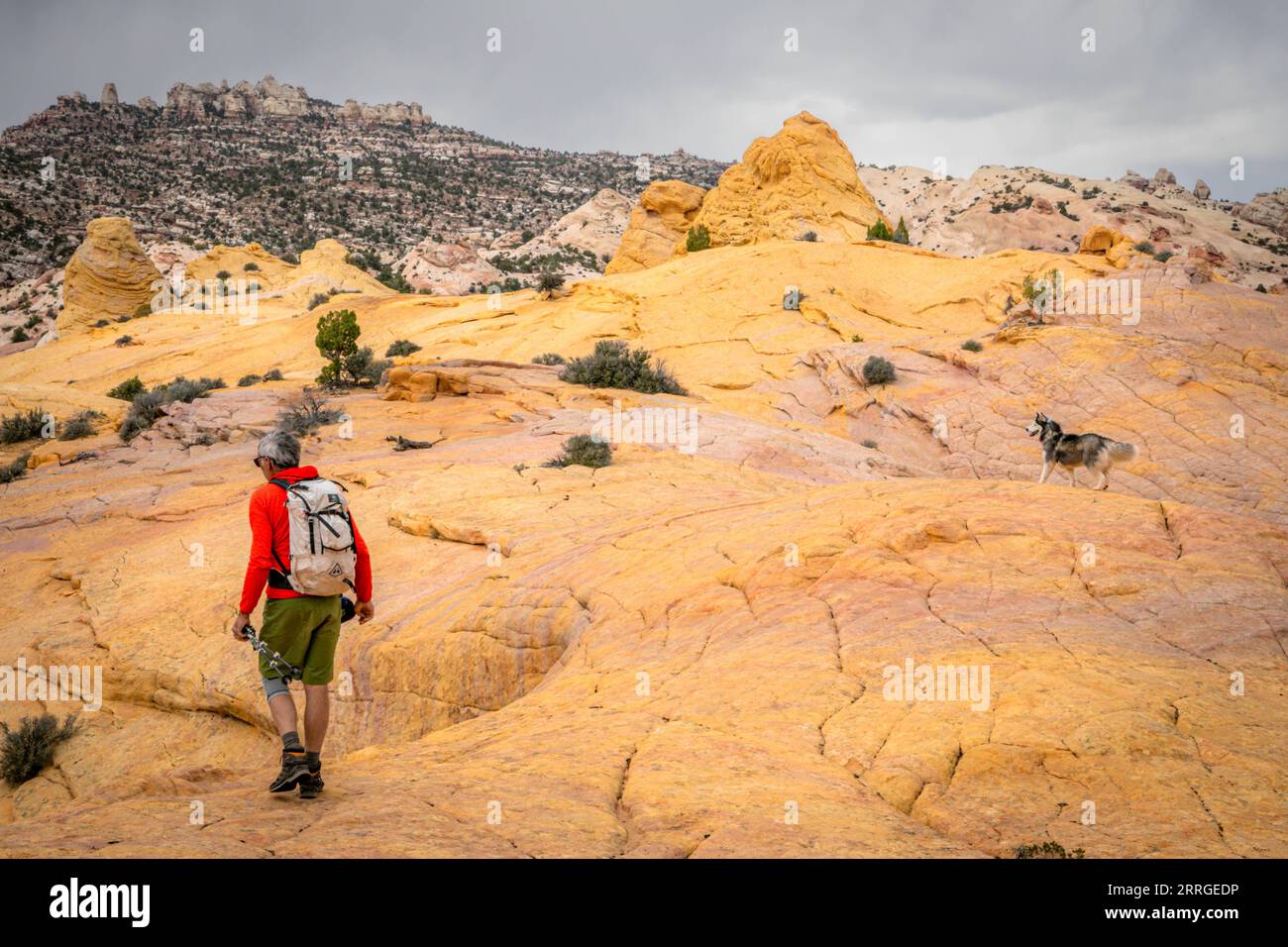 A hiker and dog traverse slabs of yellow sandstone Stock Photo