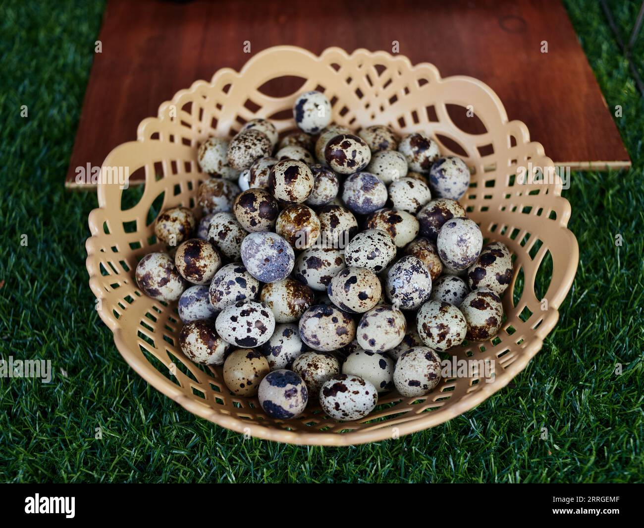 Close-up view of quail eggs in basket Stock Photo