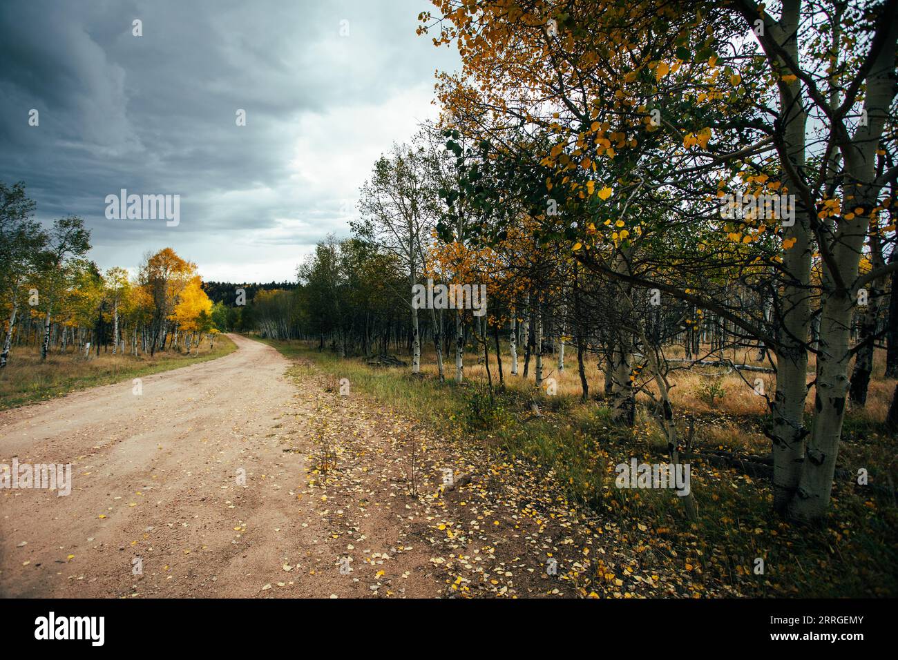 Dirt moody hi-res stock photography and images - Alamy