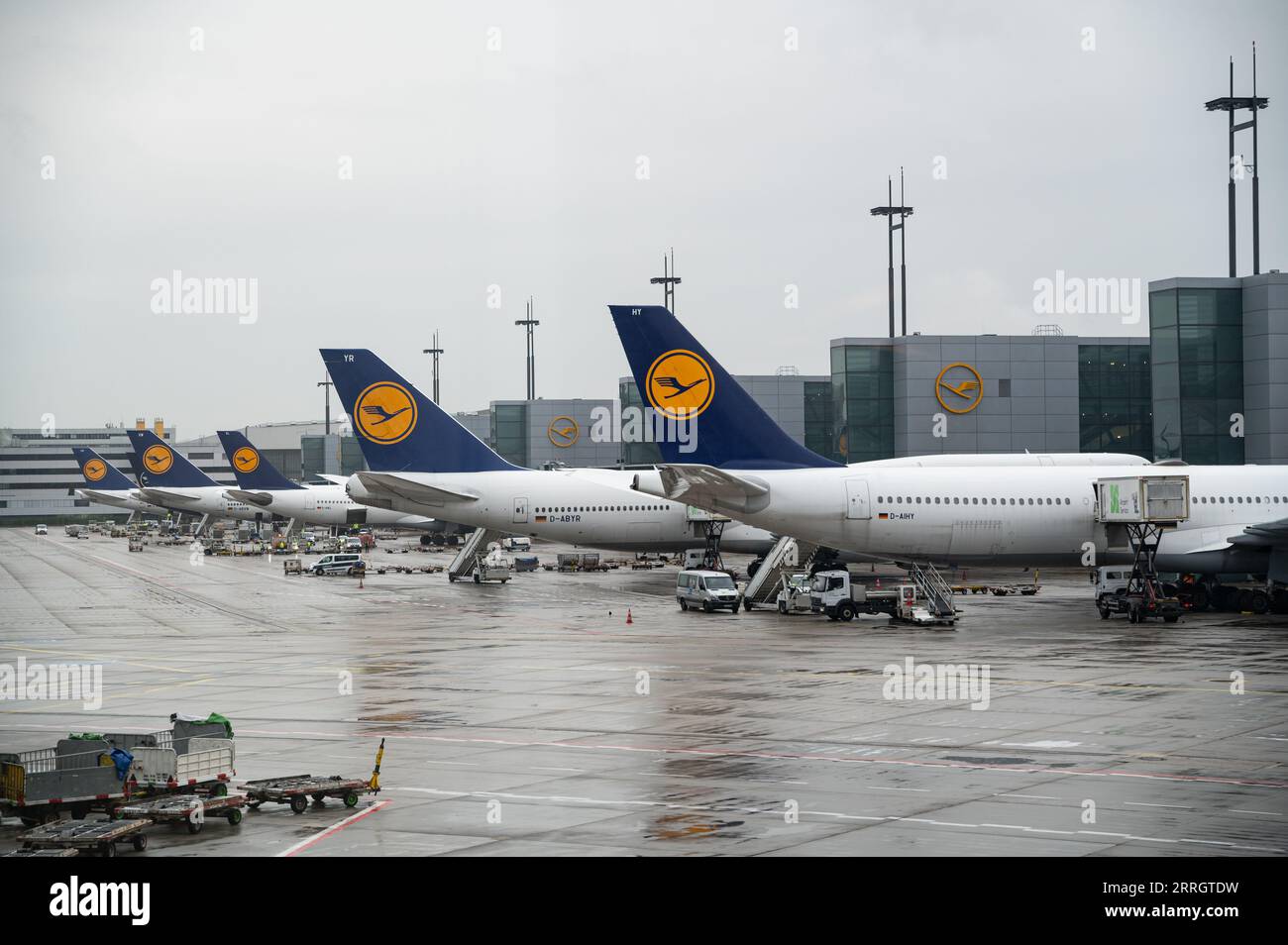 04.08.2023, Frankfurt, Hessen, Germany, Europe - Lufthansa passenger planes are parked at their gate of Frankfurt Airport Terminal 1 on a rainy day. Stock Photo