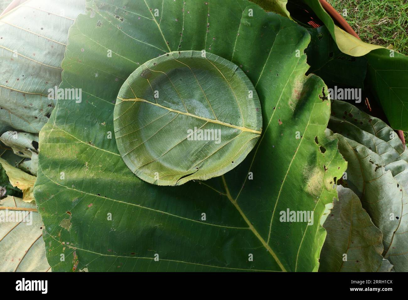 Recyclable Plates Are Made From Leaves.The Green product eco friendly concept.Eco friendly Stock
