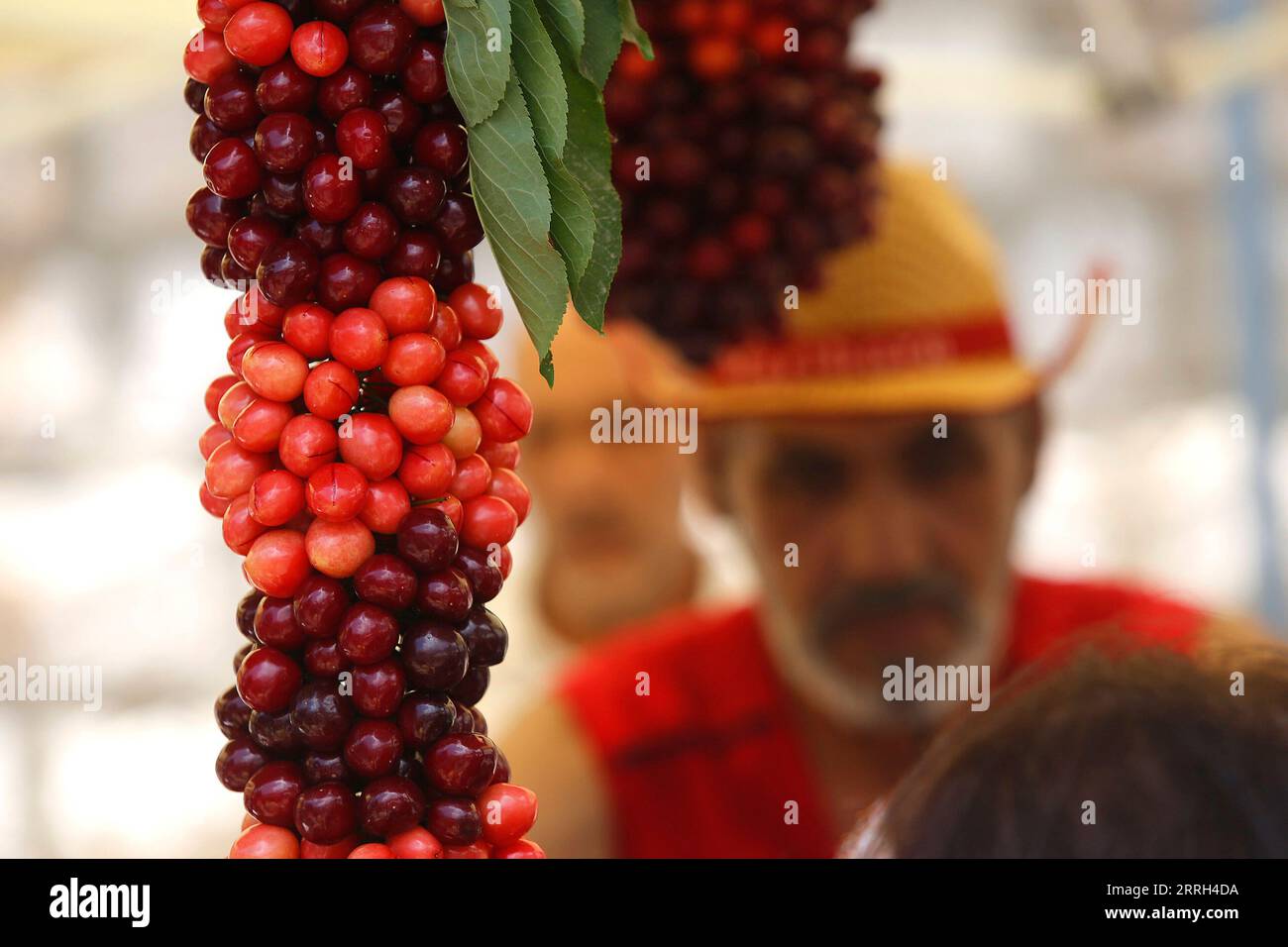 Hammana hires stock photography and images Alamy