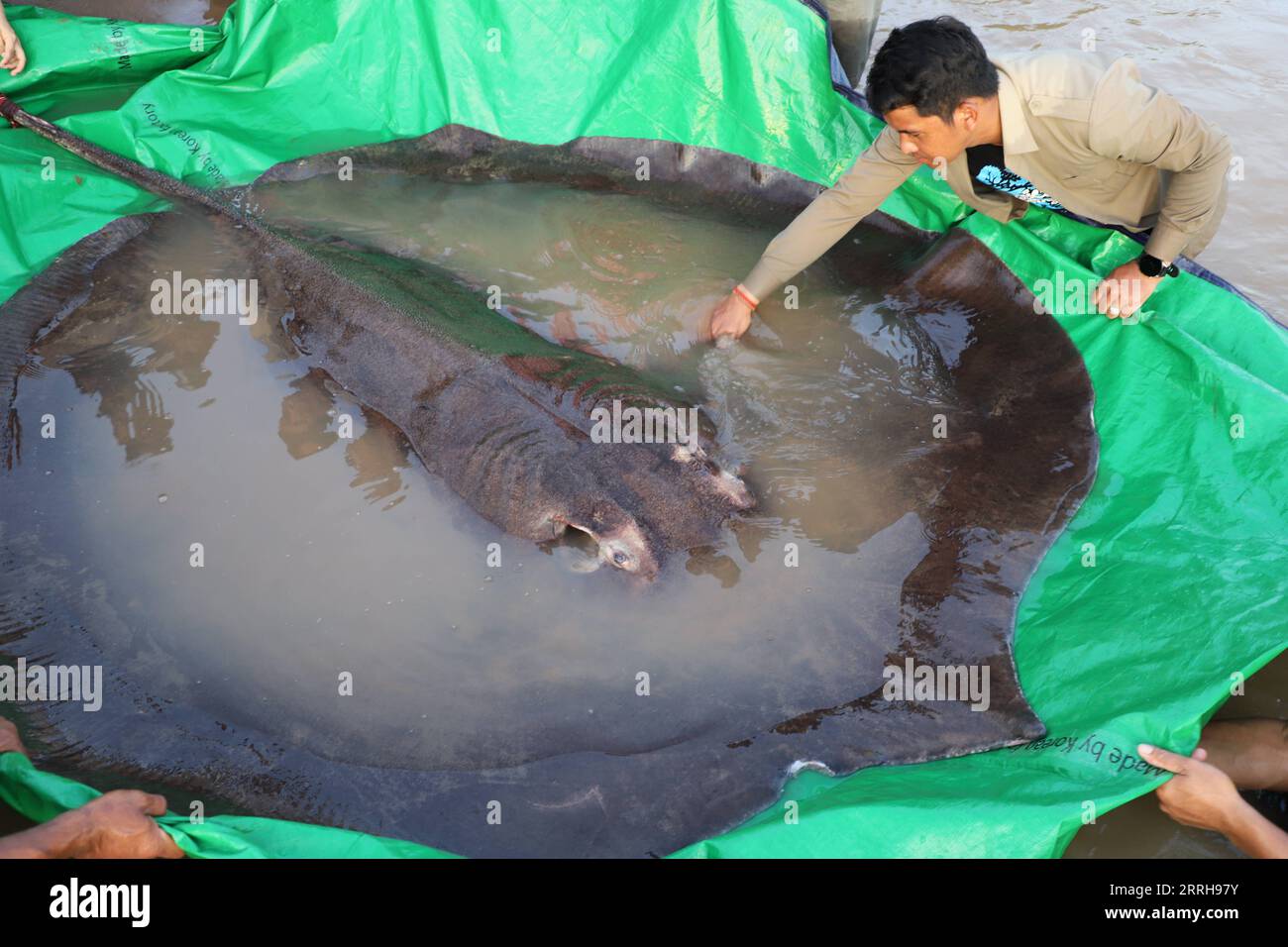 220621 -- STUNG TRENG, June 21, 2022 -- Photo taken on June 14 ...
