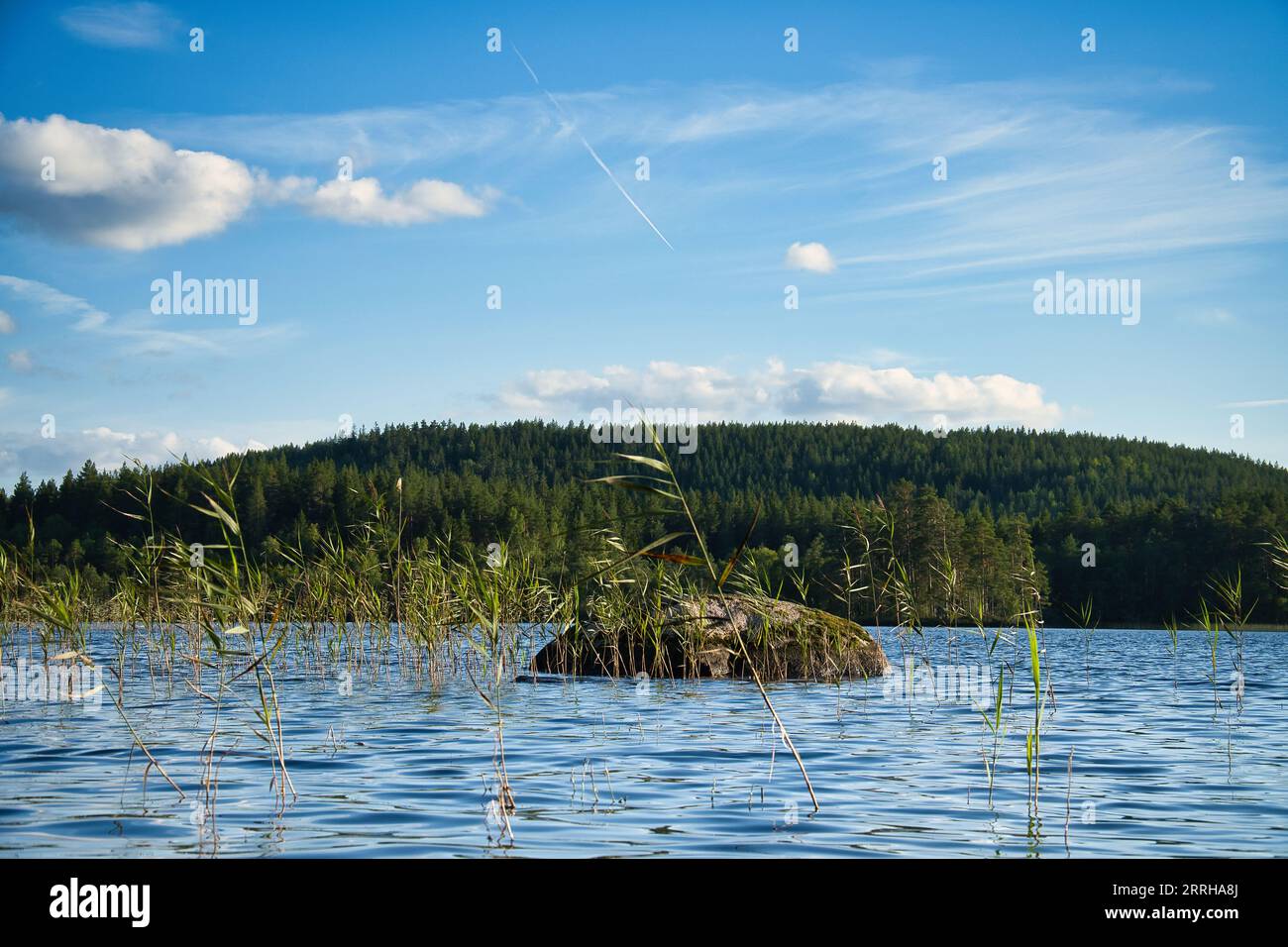 View of a lake in Smaland in Sweden. Blue water with light waves and reeds. Blue sky with veil clouds. Summer in nature in Scandinavia. Landscape phot Stock Photo