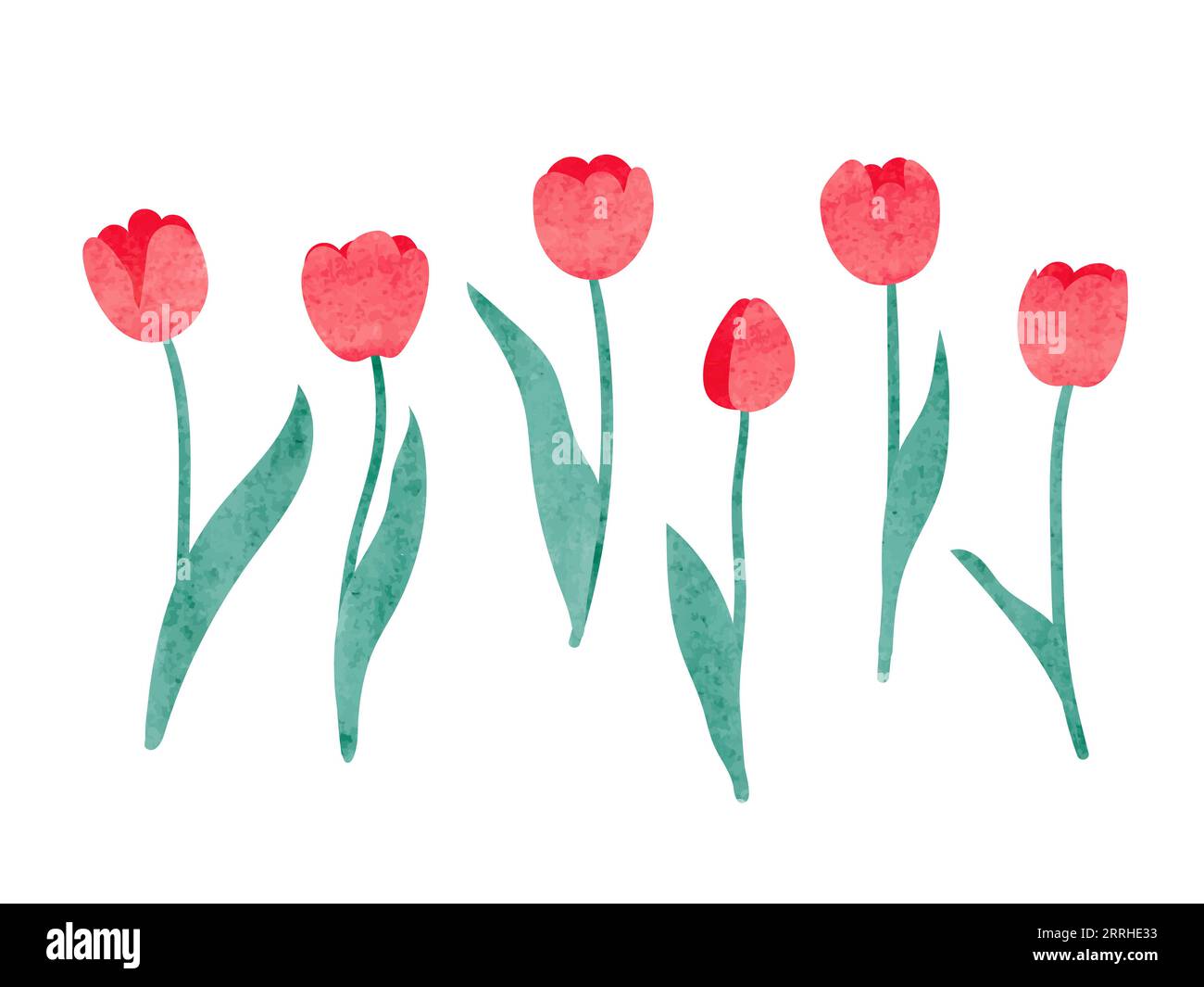 Set of watercolor tulip. Vector illustration Stock Vector Image & Art ...