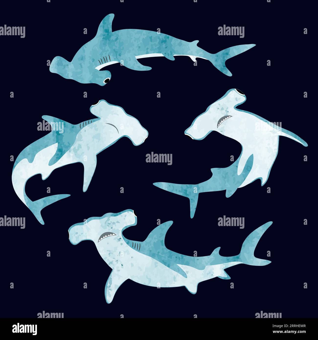 Watercolor hammerhead shark set. Vector illustration. Stock Vector