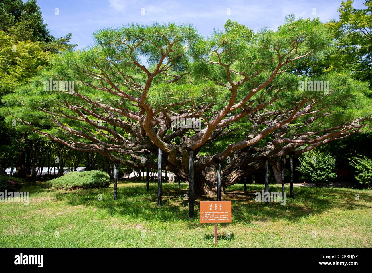 220703 -- GYEONGJU, July 3, 2022 -- Photo taken on July 3, 2022 shows a ...