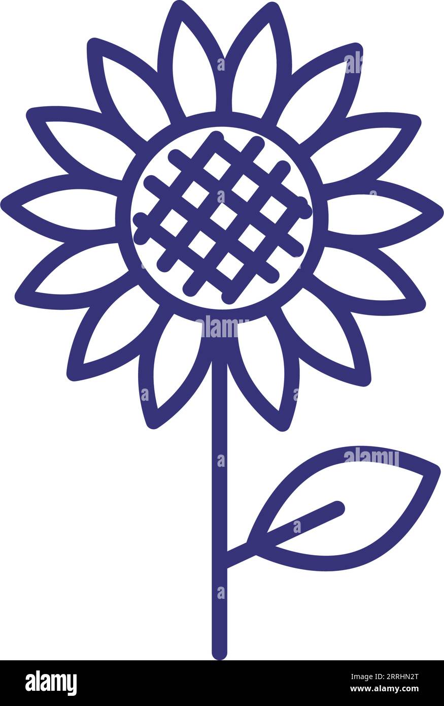 Thin leaf sunflower Stock Vector Images - Alamy