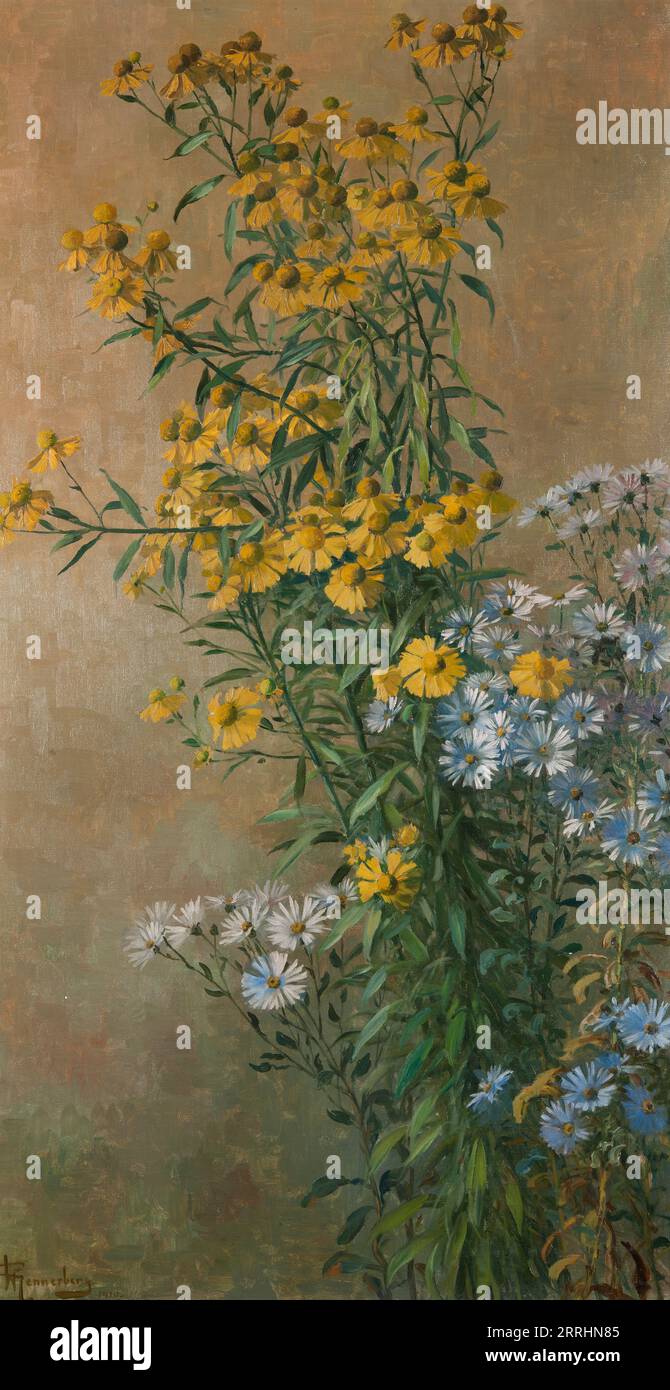 Autumn Flowers, Helenium and New York Aster, 1910. Stock Photo