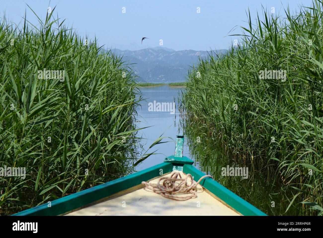 Boat trip through an idyllic waterway in Montenegro - Bootsfahrt durch eine idyllische Wasserstraße in Montenegro Stock Photo
