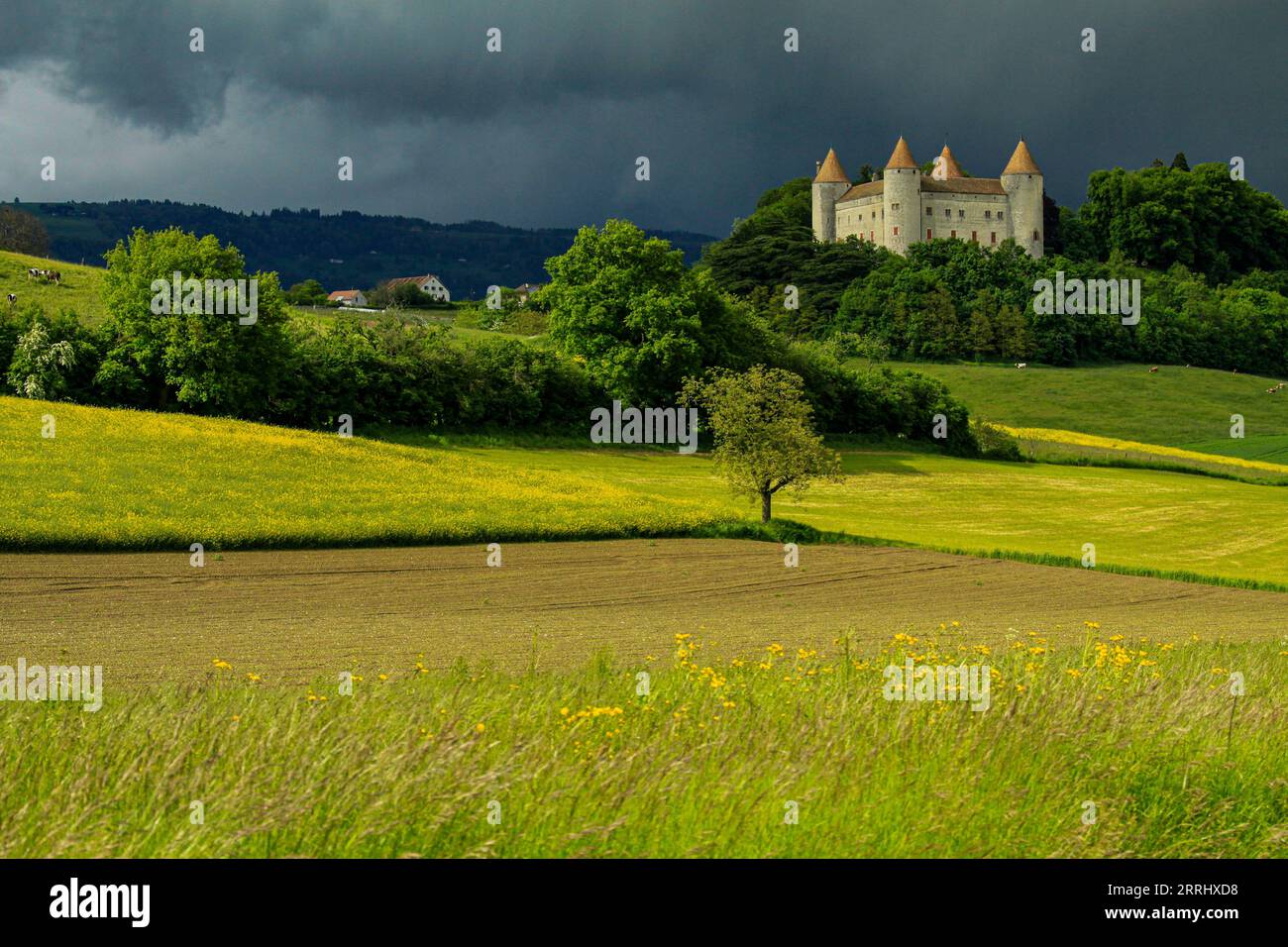 Le château de Champvent au pied du jura vaudois en Suisse Stock Photo