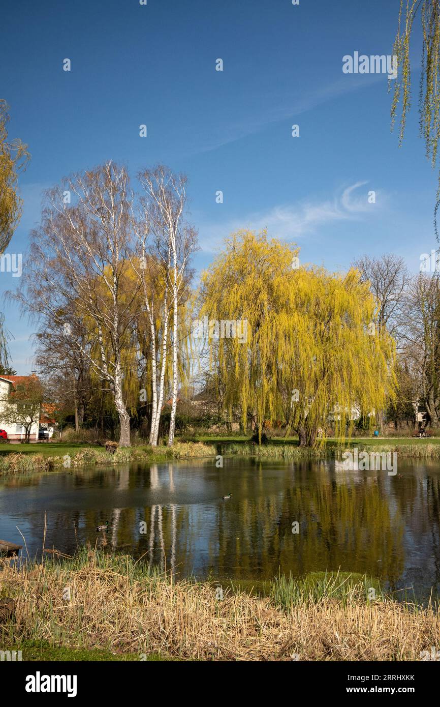 Königslutter am Elm, Germany Stock Photo Alamy